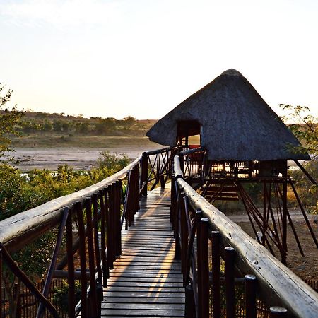 Bona Ngwenya Lodge & Safaris 말로스 파크 외부 사진