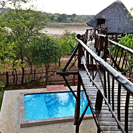Bona Ngwenya Lodge & Safaris 말로스 파크 외부 사진