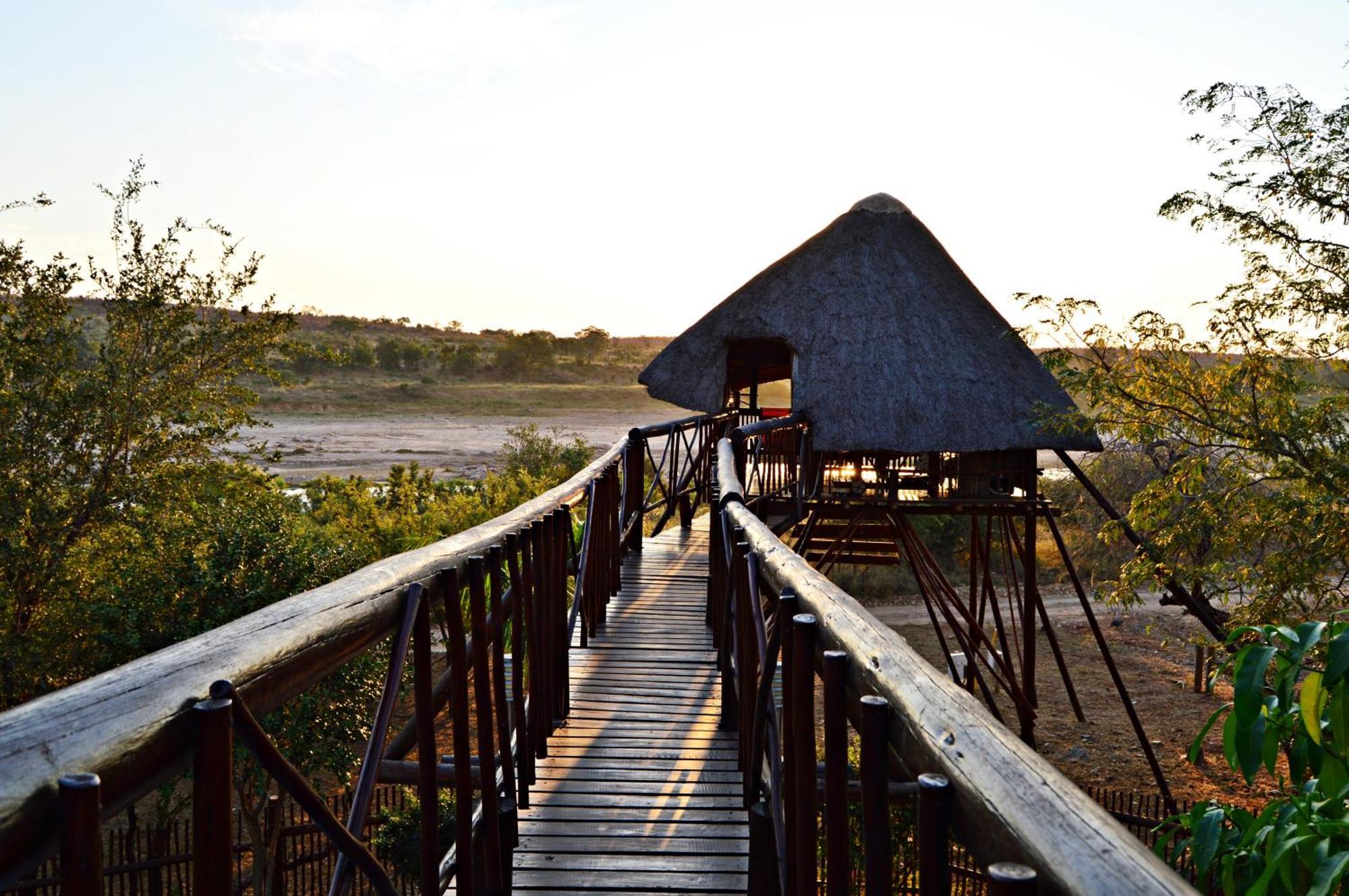 Bona Ngwenya Lodge & Safaris 말로스 파크 외부 사진