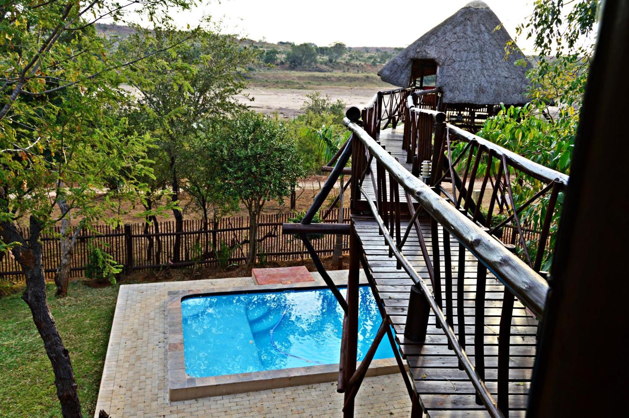 Bona Ngwenya Lodge & Safaris 말로스 파크 외부 사진