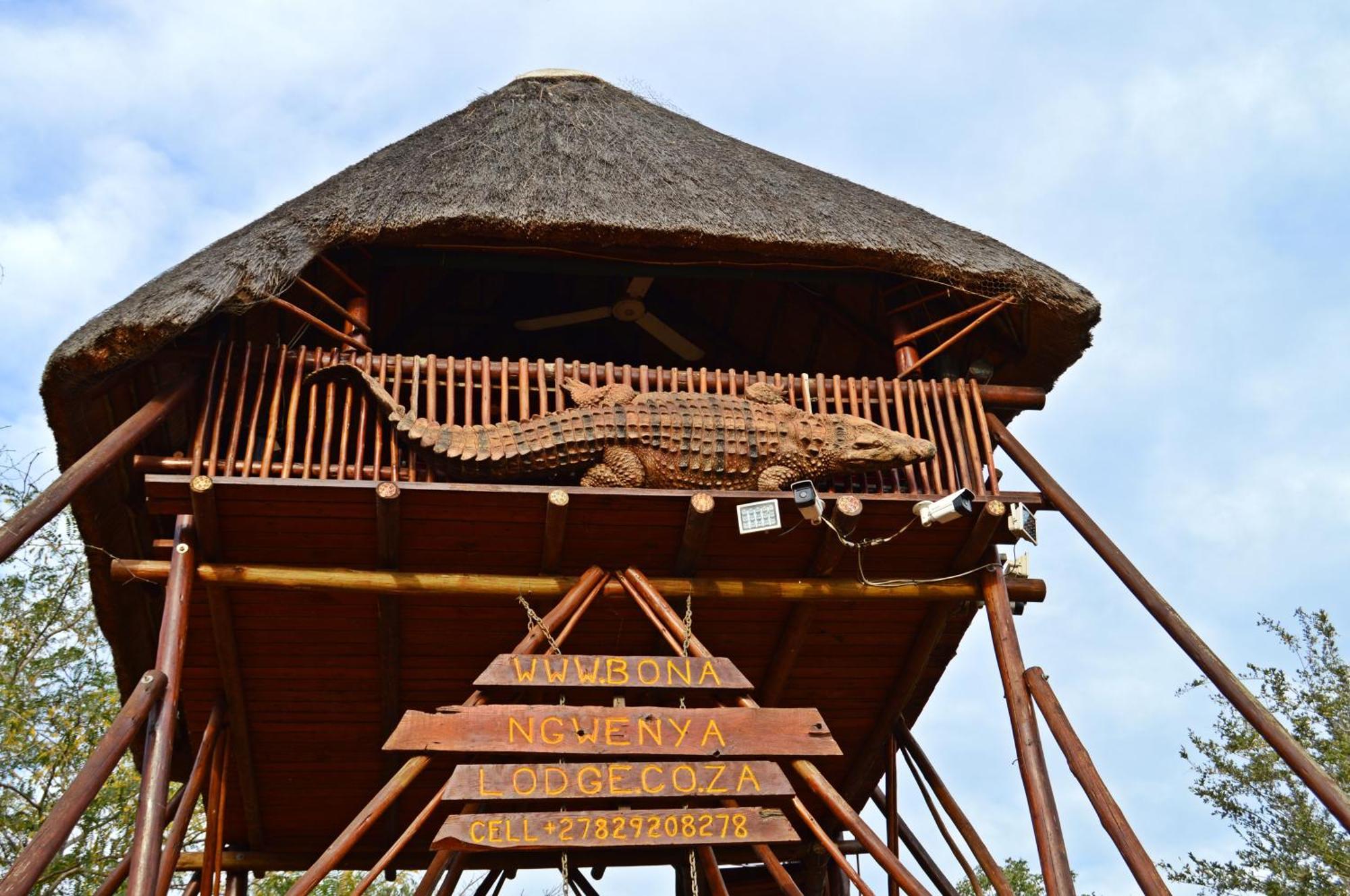 Bona Ngwenya Lodge & Safaris 말로스 파크 외부 사진