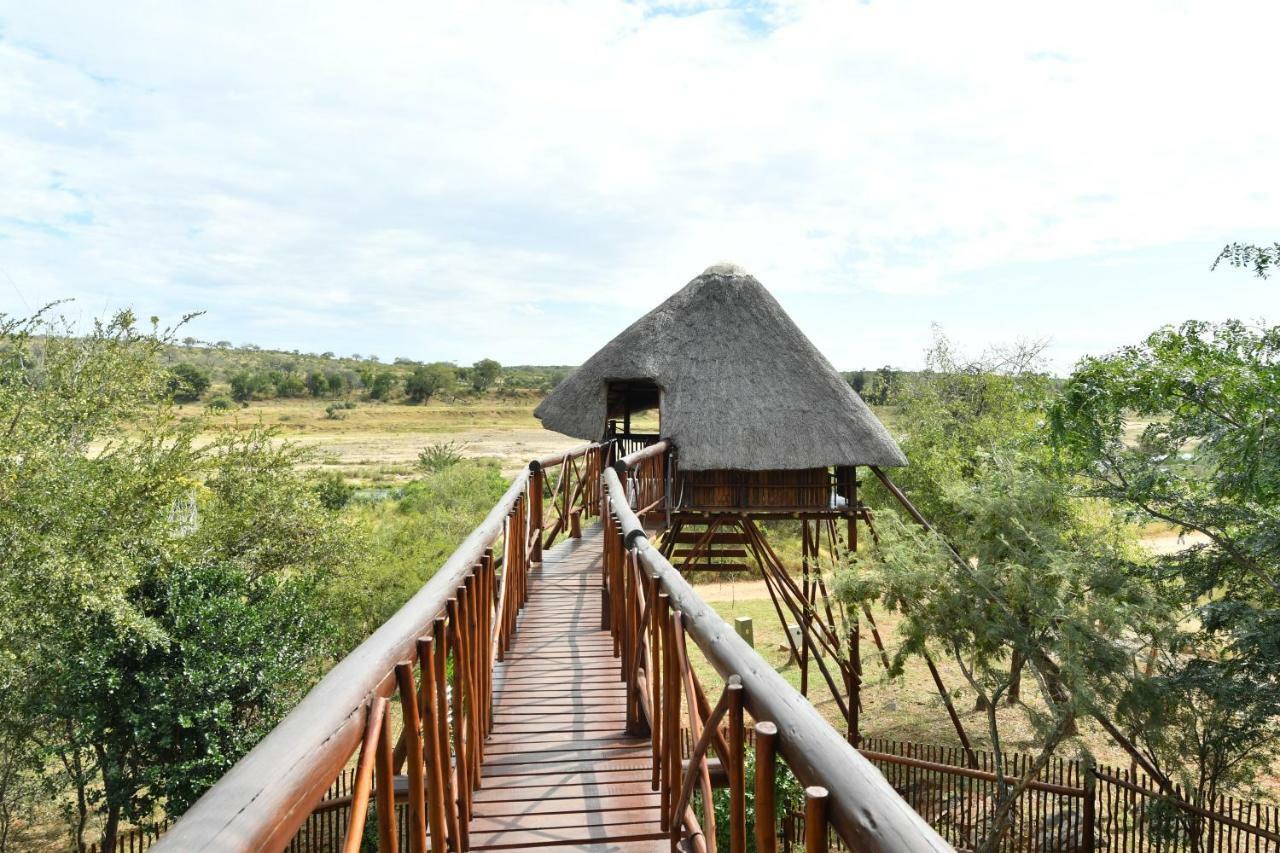 Bona Ngwenya Lodge & Safaris 말로스 파크 외부 사진